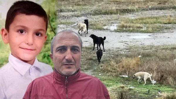 Ankara'da köpek saldırısına uğrayan küçük Tunahan'dan iyi haber geldi!