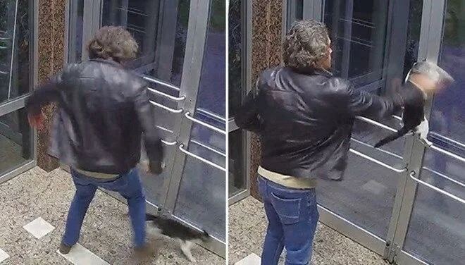 Kediyi darbeden şüpheliye 5 ay hapis cezası!
