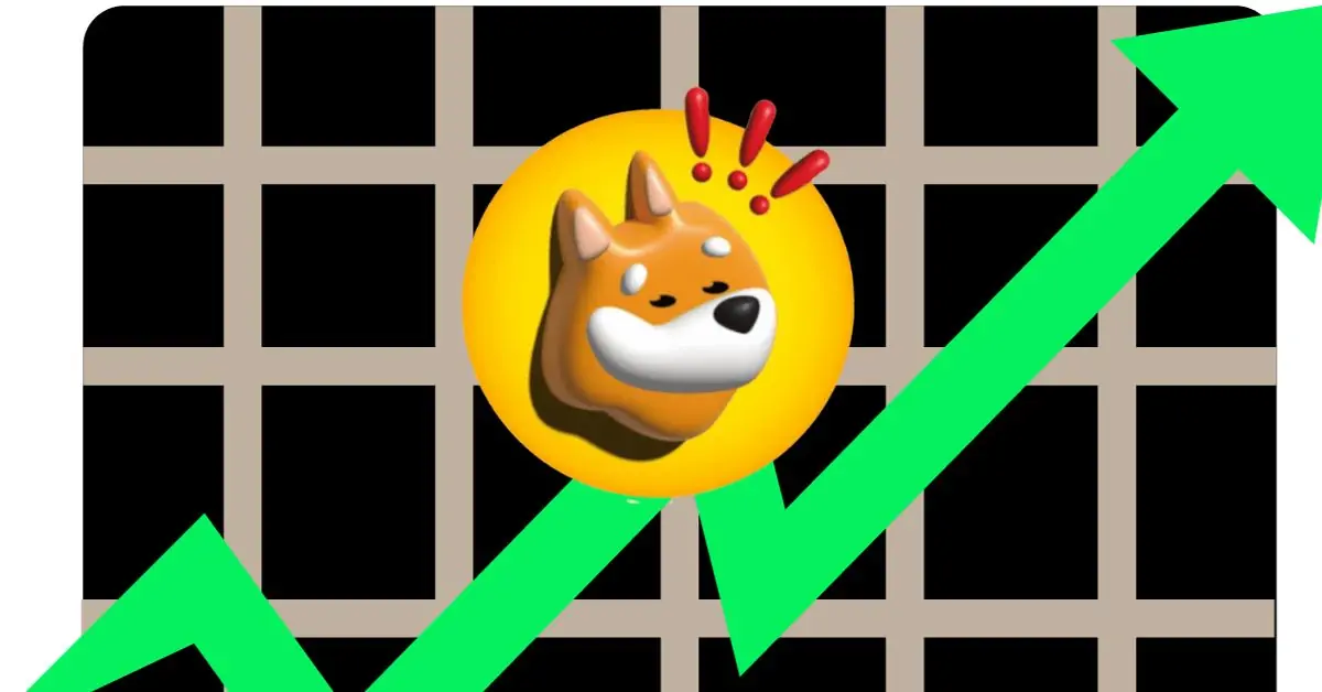Binance BONK listeleyecek mi? BONK coin nedir?