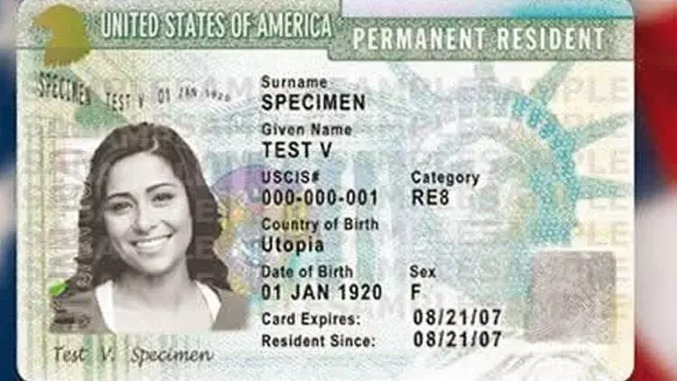 Green Card 3