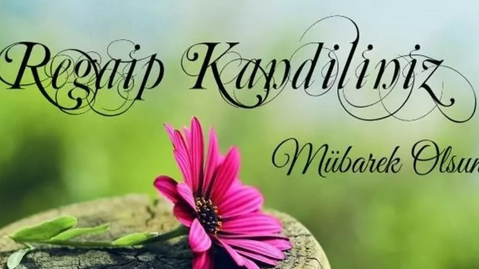 Regaip Kandili 11012024 13