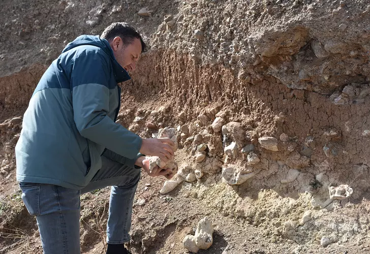 Buldugunu Dinozor Fosili Sandi Aslinda Gercek Baska Cikti 24Subat2024 3