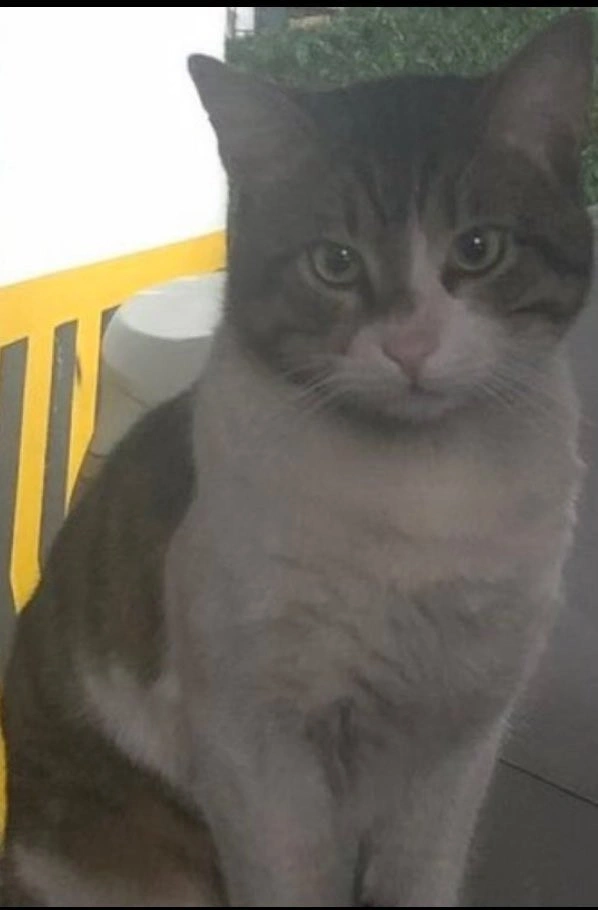 Ibrahım Keloglan Kimdir? 13Subat 3