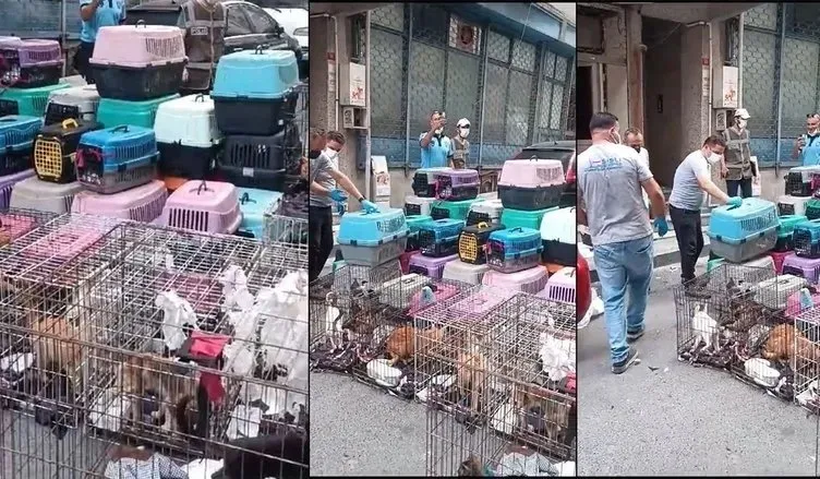Kötü koku ihbarına giden ekipler şoka girdi! Rekor ceza yazıldı...